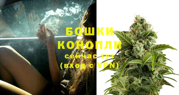 твердый Карпинск