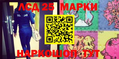 стафф Шахты