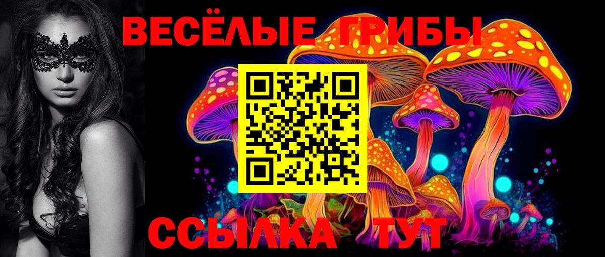 Псилоцибиновые грибы MAGIC MUSHROOMS  Галлюциногенные грибы мухоморы  Вход с VPN  Семилуки 